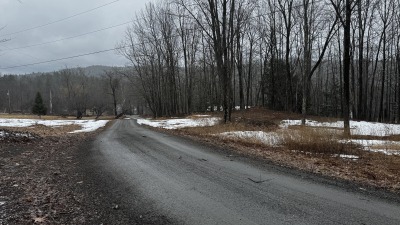 Looking down driveway to road. Half of field on left belongs to us. Area to right as well.