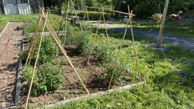 Vegetable garden in front of small horsebarn