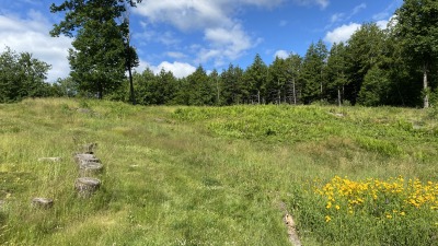 Looking up from driveway to upper fields