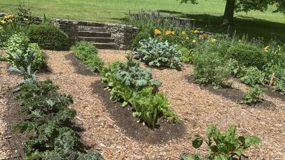 Kitchen Garden