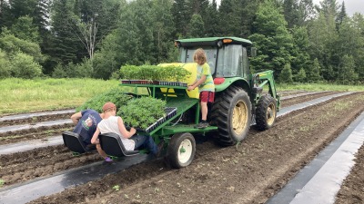 Full suite of farming equipment included