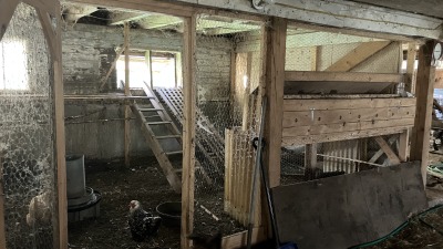 Chicken coop with small, hardy flock.