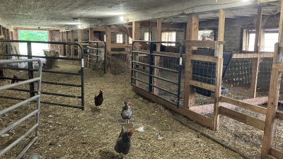 Stalls and spacious indoor space for livestock.
