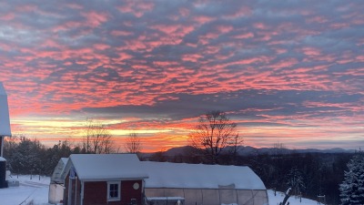 Beautiful sunsets year round! 50' x 14' tunnel, generator shed with generator for power outages