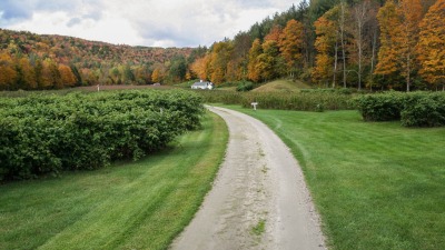 Driveway leads to build site. 