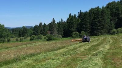 Ten acres under active hay lease; hay would be available for livestock