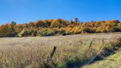 land
