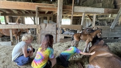 I am committed to having horses and teaching bareback riding and horse therapy