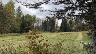 Tillable field south