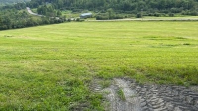open fields