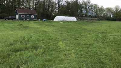 Packshed and first high tunnel
