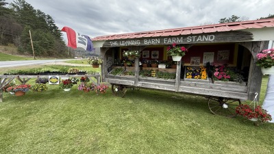 Farm stand 