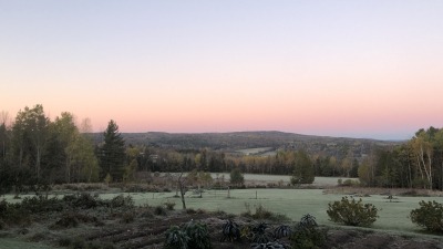 Garden and lower fields, orchard to the left