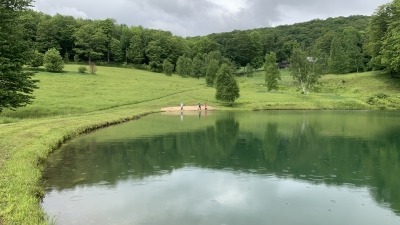 One of Several Ponds