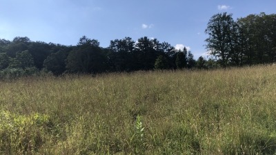 West field 