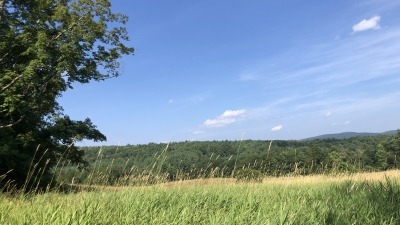 East field - view 2