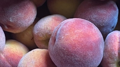 Juicy peaches