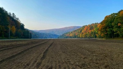 Sandy loam soil, the best in the state 