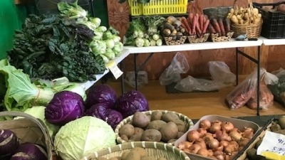 New Leaf CSA