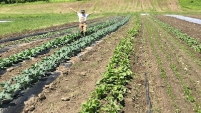New Leaf CSA