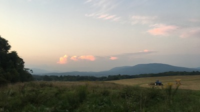 Main hayfield looking northeast
