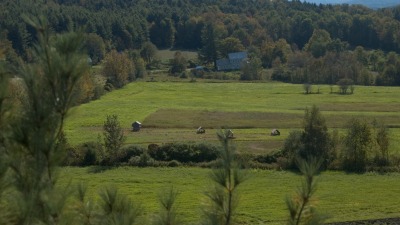Open land on the west side of the farm.