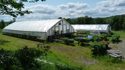 Greenhouse in full swing in spring