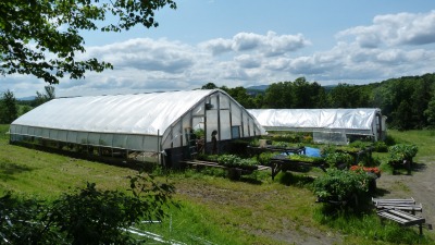 Greenhouse in full swing in spring