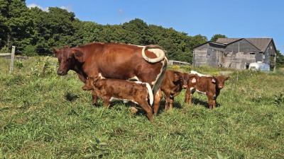 Babysitter of the day