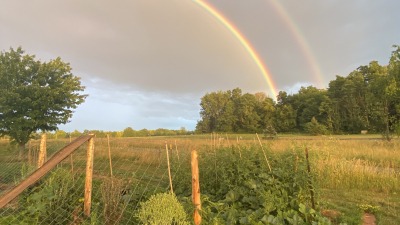 Southeast view from a small kitchen garden
