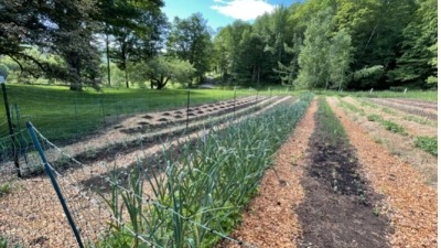 Production Garden