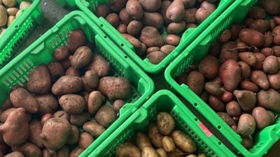 Potatoes From the Farm