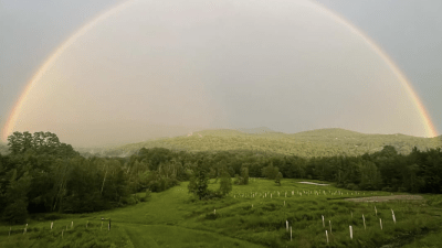 Rainbow over the home orchard