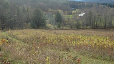 East Hill open land looking towards the farm center