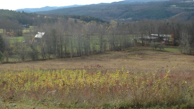 View of the farm from the high point in the fall