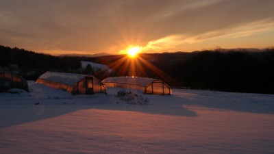 A winter sunset through the greenhouse