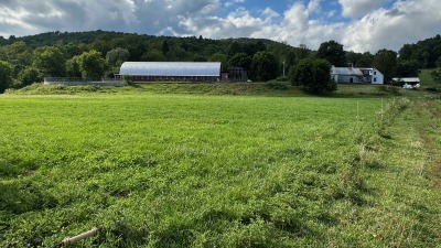 Farmstead looking W from laneway crossing large field