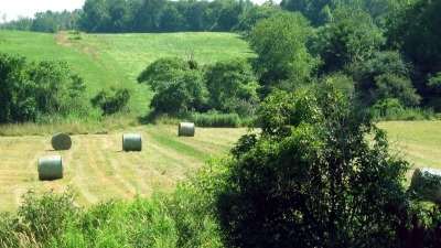 Hayfields looking south