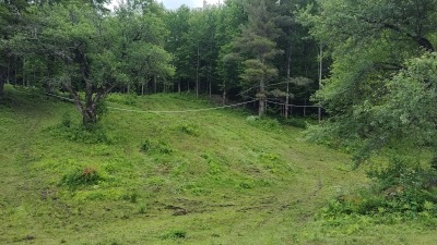 Approaching sugarbush 