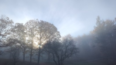 Looking up towards where main line comes down 