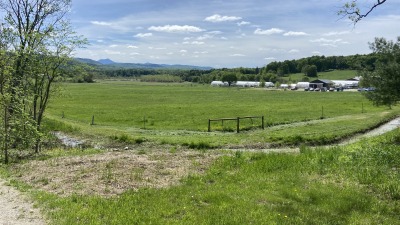 lower pasture