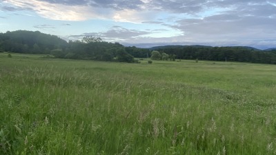 main road meadows