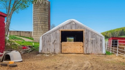 Livestock shelter - 40 cow limit