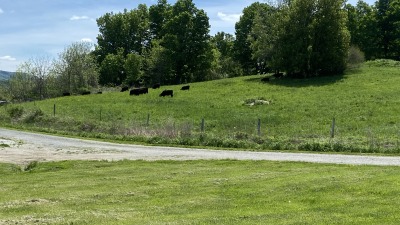 upper pasture