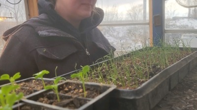 Seedhouse