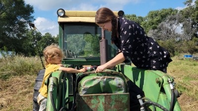 JD inspection