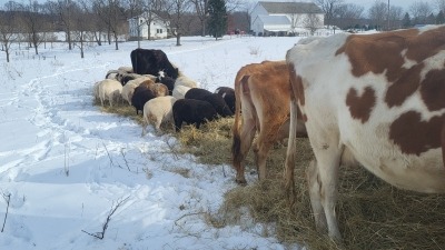 Ohio snow