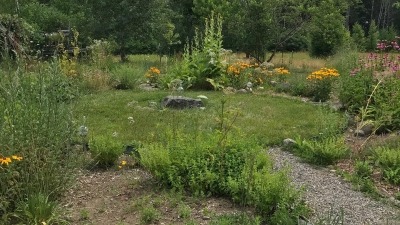 Medicinal Herb Garden