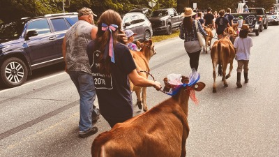 Cranberry in 4th of July parade