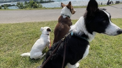 My three girls at the Niagara Falls in NY